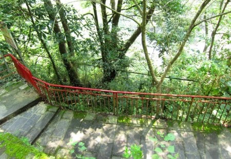 Mountain trail - red iron railing, grasses, trail, mountain