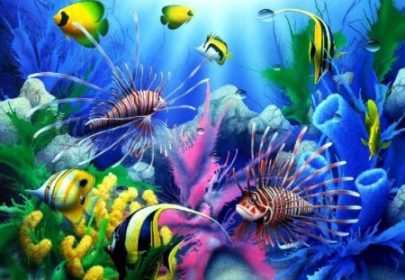 Deep water for fishes - animal, water, didgital, fishes