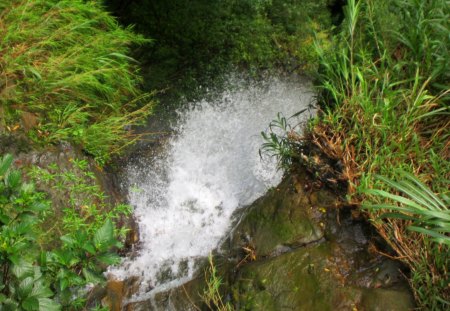 Waterfall - rock, valley, grasses, waterfall