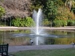 Fountain in the Botanical Garden Brisbane