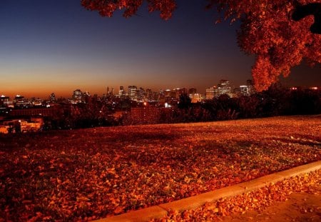 Autumn In The City - autumn road, fall leaves, fall trees, autumn leaves, fall colors, autumn trees, autumn colors, fall, fall in the city, autumn in the city, beautiful autumn