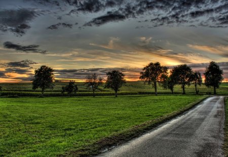 Autumn Sunset - autumn road, autumn colors, fall trees, fall, fall sunset, autumn sunset, fall leaves, autumn leaves, fall colors, autumn trees, beautiful autumn