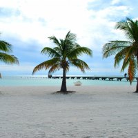 Beautiful Beach