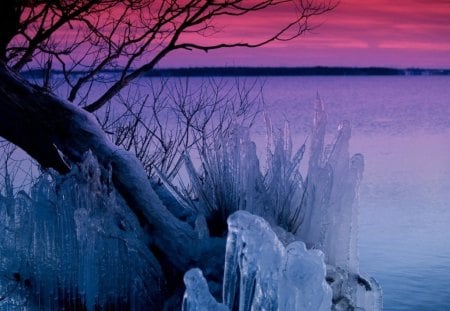 CANADIAN ICESCAPE - ice, trees, lakes, purple, cold, snow, blue, pink, frost, sunsets, horizons