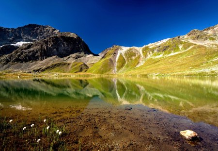 LAKE in SUMMER - summer, lake, blossoms, mountain