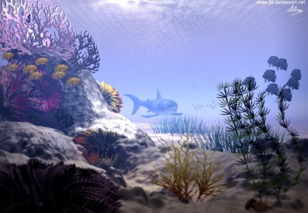 Shark in the Reef - water, reef, ocean, coral, coral reef, salt water, underwater, plants, shark, swim