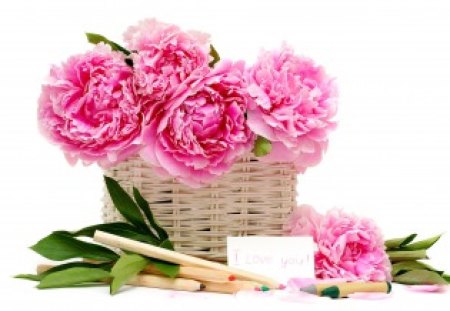 Peonies - basket, flower, nature, peonies