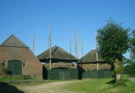 Very old farm - nature, blue, green, farm, tree, sky