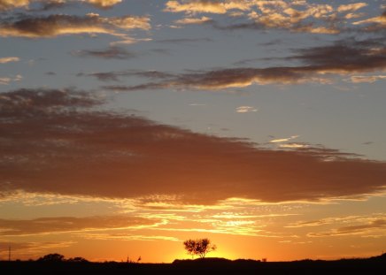 Beautiful Sky - sky, clouds, sun, tree, sunset