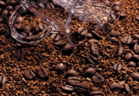 *** COFFEE *** - food, seeds, koffee, jar