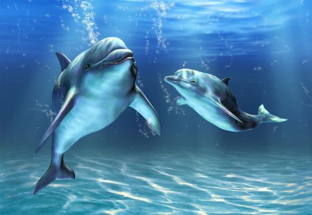 *** Cute dolphins ***