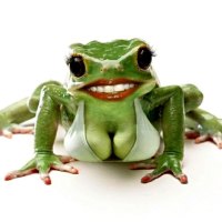 Frog series#22   frog lady2