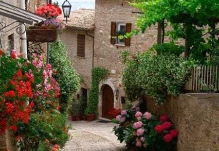 Venetian street - stone, beauty, houses, flowers