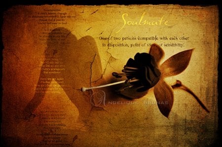 Soul mate... - rose, silhouette, quote, texture