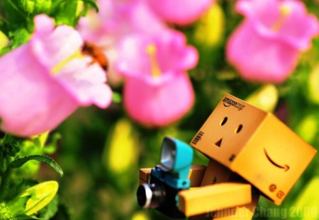 Danbo & The Bee - anime, nice, bee, flowers