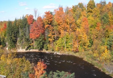 Autumn River - fall, trees, river, september