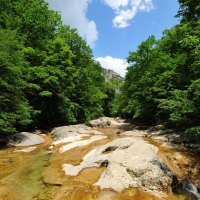 Water Shaped River Stones