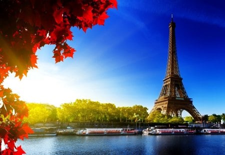 AUTUMN VIEW - river, eiffel, trees, autumn, tower