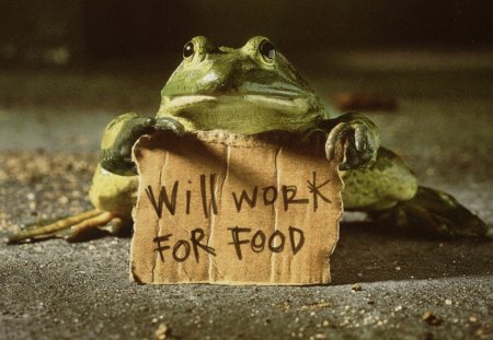 Poor Frog ! - amphibian, demonstrate, green, funny