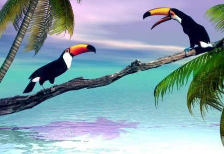 Chatty Toucans - palm trees, ocean, beach, palms, water, palm, birds, toucans