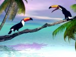 Chatty Toucans