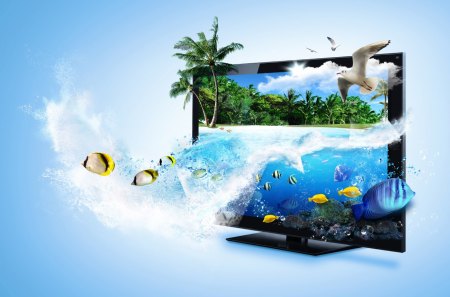 Splashing out - nature, trees, water, fish, tv