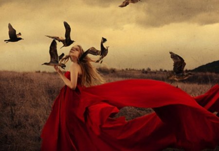 red dress - red dress, model, field, girl, birds