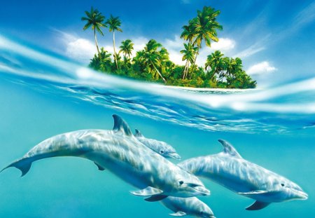 Dolphin Island - dolphins, water, ocean, blue, swimming, sky, dolphin, island, salt water, tree, trees, swim