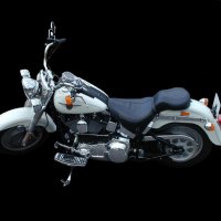 Harley Softail