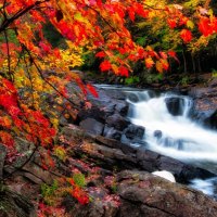 Fall waterfall