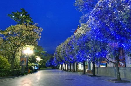 Yalta - yalta, tree, night, blue