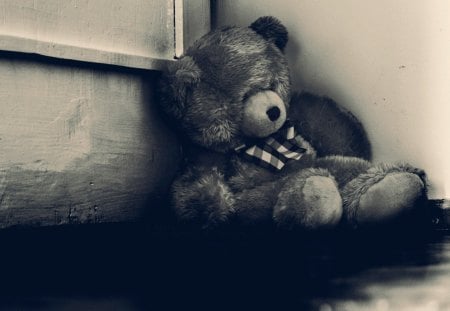 Lost & Lonely - lost, bear, teddy, lonely