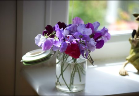 Fabulous smell of sweet peas - sunshine, peas, light, smell, bouquet, precious, fabulous, purple, sweet, flowers, lavender