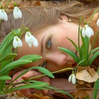 blue eyed snowdrops