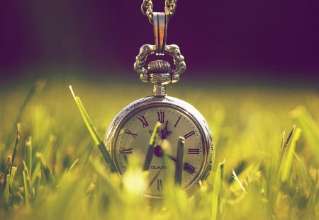 Old pocket watch - photo art, watch, grass, time