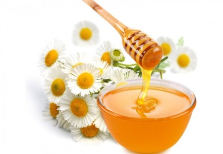 *** Honey and daisys *** - white, daisys, bowl, honey