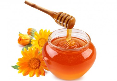 *** Honey and Flowers *** - honey, flowers, color, orange, jar