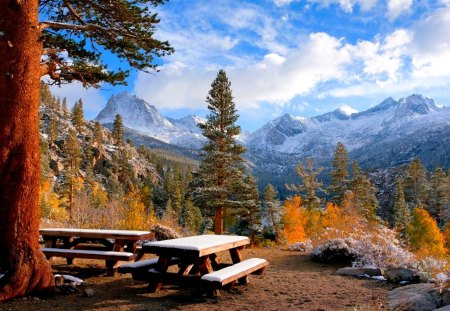 WINTER PICNIC - snow, bench, winter, mountain