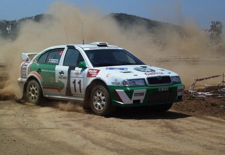 Skoda Octavia WRC - offroad, rally, endurance, thrill