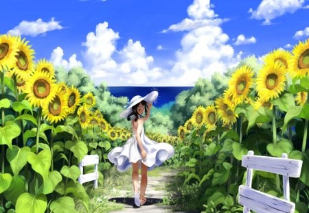 Among the Sunflowers - aanime, girl, sunflowers, summer