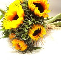 SunFlowers for Septemberâ™¥