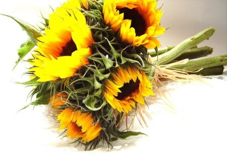 SunFlowers for September♥ - warm, sunflowers, yellow, summer, forever, countrystyle, love, bouquet, weddding, raffia, design, autumn, green, bright, fabulous, september