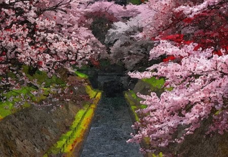 Spring - abstract, flower, pink, oil, tree, bloom, nature, red, painting, art, park