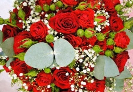 Passion♥ - roses, forever, fashion, entertainment, love, bouquet, magnificent, passion, red, fabulous