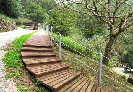 Mountain trail - grasses, wooden plank, mountain, trail