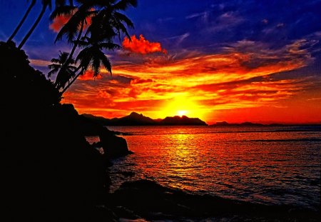 Seychelles sunset - pretty, summer, sundown, sunrise, sand, light, exotic, nice, sunburst, colors, palm, dazzling, tropical, nature, sunset, amazing, beach, island, seychelles, reflection, shore, sky, sun, clouds, water, beautiful, sea, lovely, ocean, tropics, colorful, glowing, rays, shine, palm tree