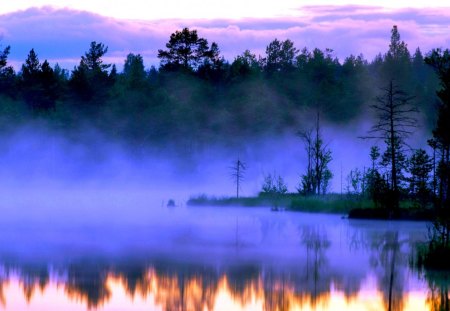 MISTY LAKE - lake, morning, reflection, fog, mist