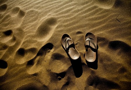 Footprints in the sand - beach, sand, sun, footprints