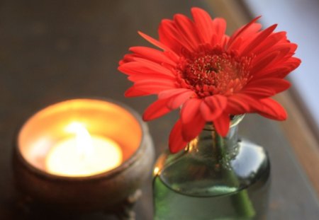 Peaceful evening♥ - botle, daisy, candle, fashion, entertainment, love, light, home, precious, design, red, gerbera