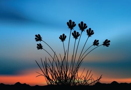 Flower Shape - shape, sky, flower, sunset